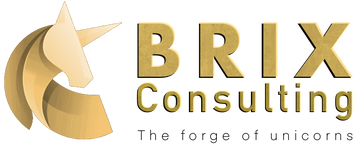 BriX Consulting
