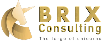 BriX Consulting